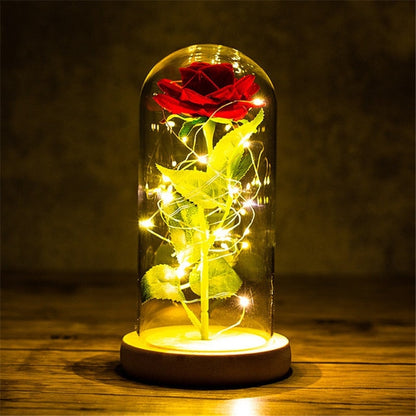 Immortal Rose Light