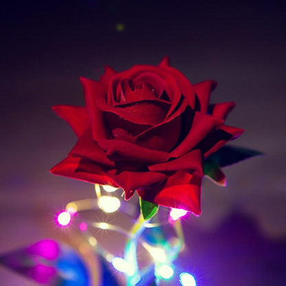 Immortal Rose Light